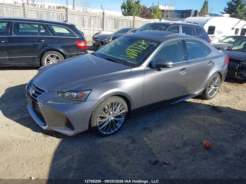 2018 Lexus IS, Затоплення, IAAI, VIN JTHC81D21J5029503 — фото 2