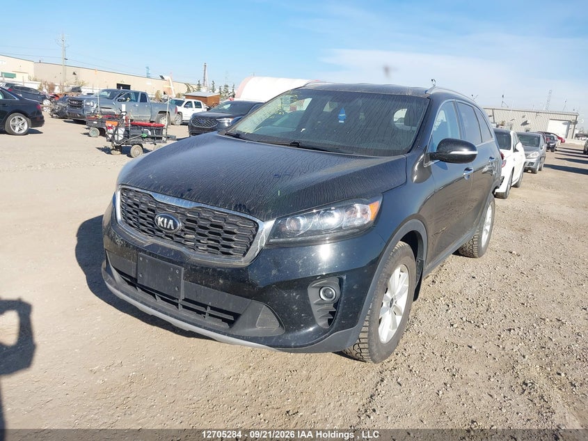 2019 Kia Sorento Ex, Rear, IAAI, VIN 5XYPHDA31KG579729 — photo 2