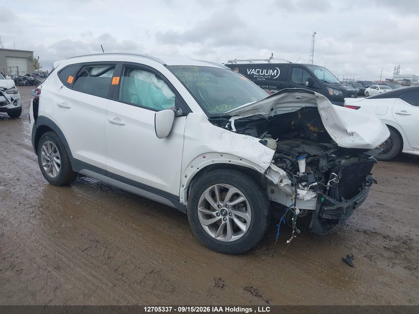 2017 Hyundai Tucson Premium, Biohazard, IAAI, VIN KM8J3CA41HU281899