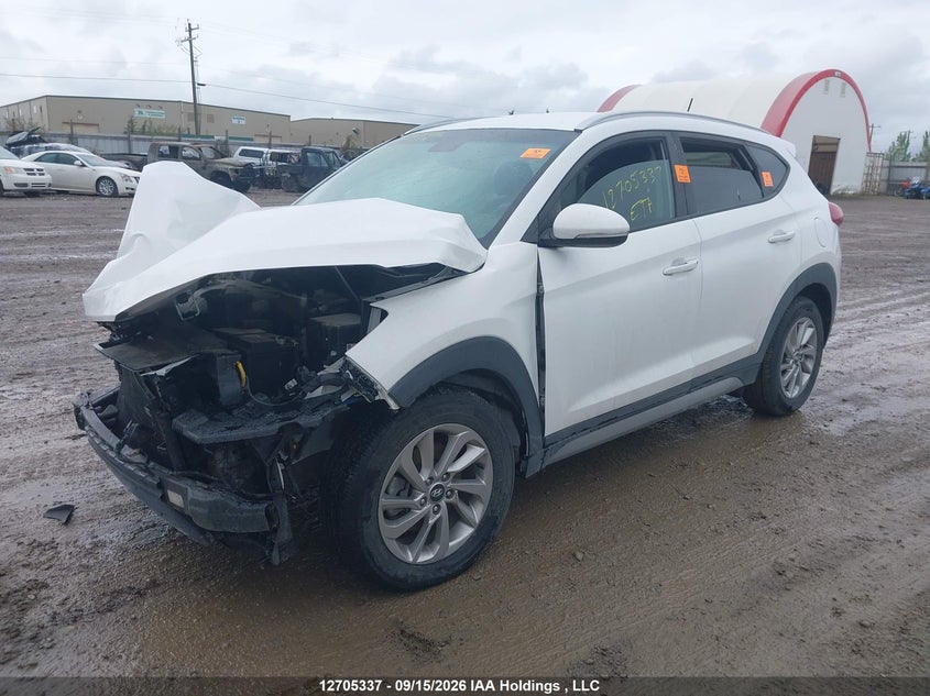 2017 Hyundai Tucson Premium, Biohazard, IAAI, VIN KM8J3CA41HU281899 — photo 2
