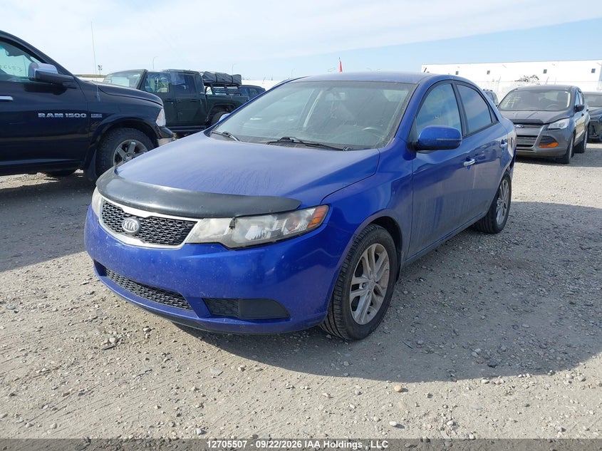2011 Kia Forte, Удар ззаду, IAAI, VIN KNAFU4A23B5320082 — фото 2