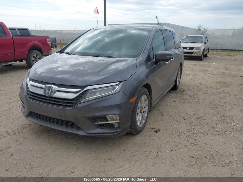 2019 Honda Odyssey Touring, Град, IAAI, VIN 5FNRL6H8XKB503826 — фото 2
