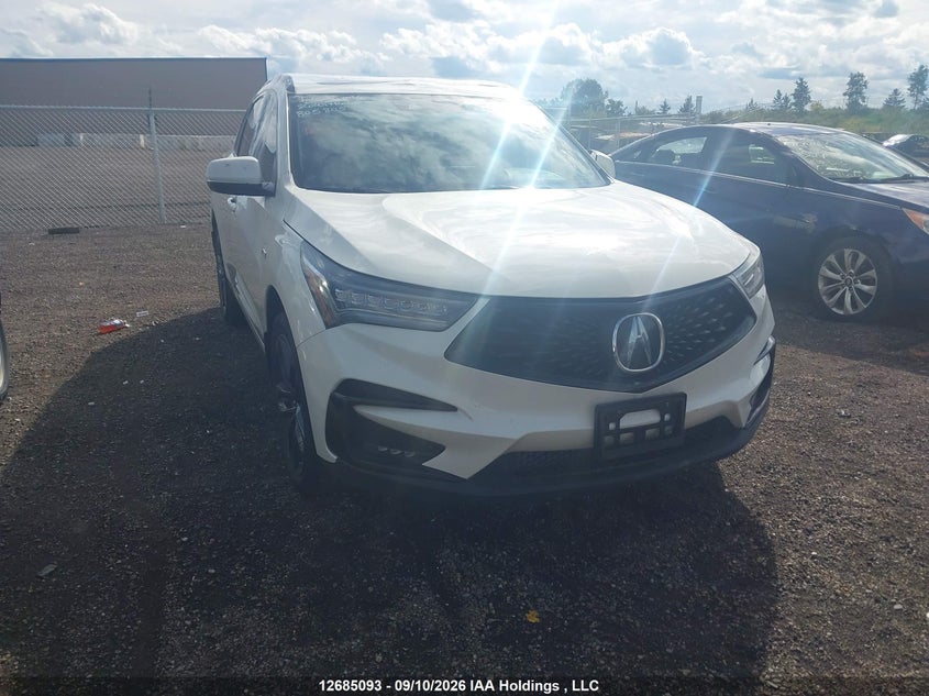 2019 Acura Rdx A-Spec, Theft Recovery, IAAI, VIN 5J8TC2H66KL805805