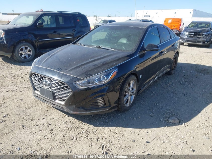 Vin: 5npe34af4kh802712, lot: 3111492, hyundai sonata essential 20192