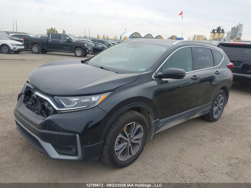 Vin: 2hkrw2h81lh201179, lot: 3111495, honda cr-v ex-l 20202