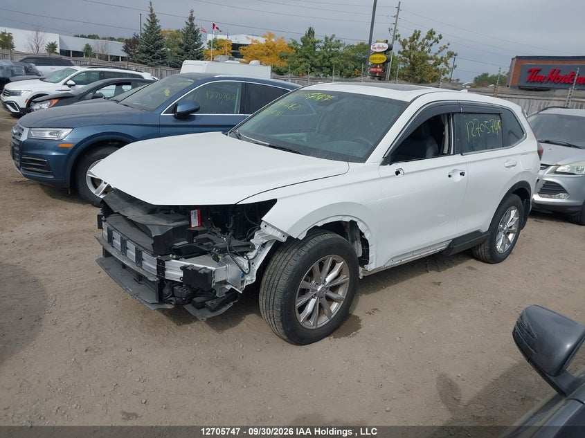 Vin: 2hkrs4h78rh104262, lot: 3111570, honda cr-v ex-l 20242