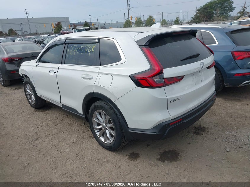 Vin: 2hkrs4h78rh104262, lot: 3111570, honda cr-v ex-l 20243