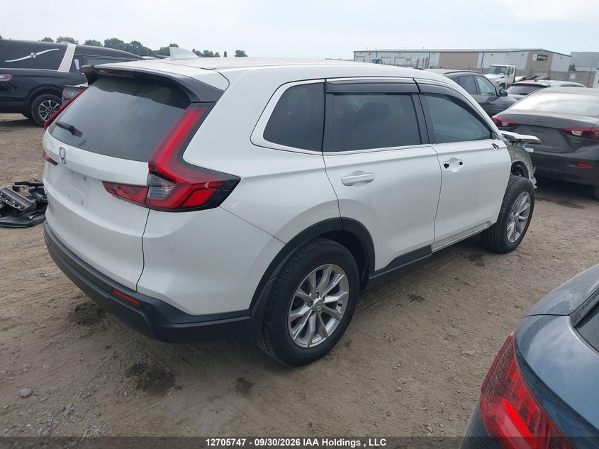 Vin: 2hkrs4h78rh104262, lot: 3111570, honda cr-v ex-l 20244