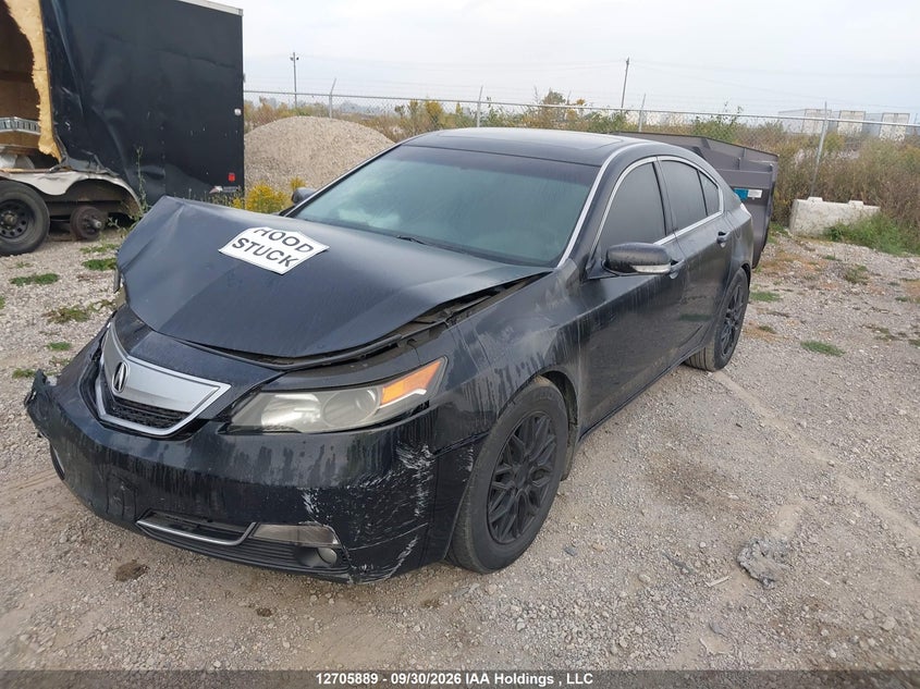 Vin: 19uua8f20ea800063, lot: 3111712, acura tl 20142