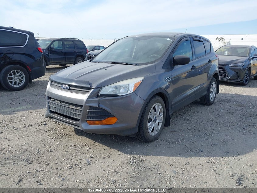 2014 Ford Escape, Удар спереду, IAAI, VIN 1FMCU0F78EUB35180 — фото 2