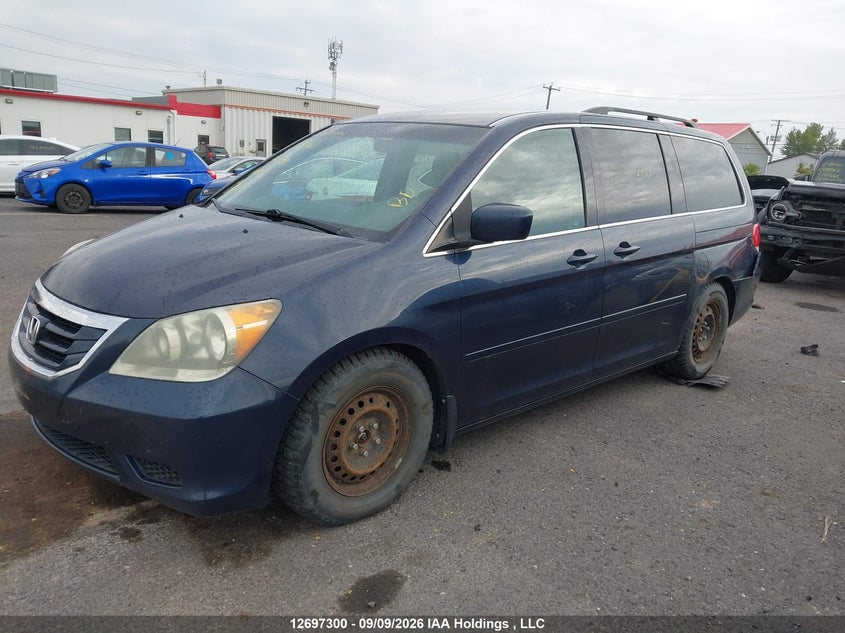 2009 Honda Odyssey, Удар ззаду, IAAI, VIN 5FNRL38439B503690 — фото 2