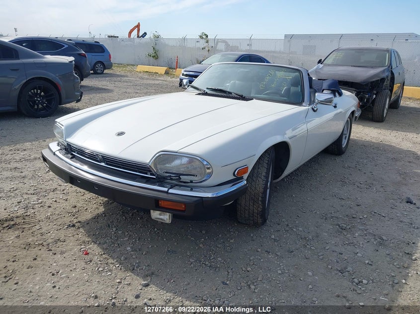 1989 Jaguar XJS, Благодійність, IAAI, VIN SAJNL4848KC158830 — фото 2