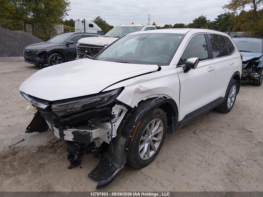 Vin: 2hkrs4h75rh102176, lot: 3113460, honda cr-v exl 20242