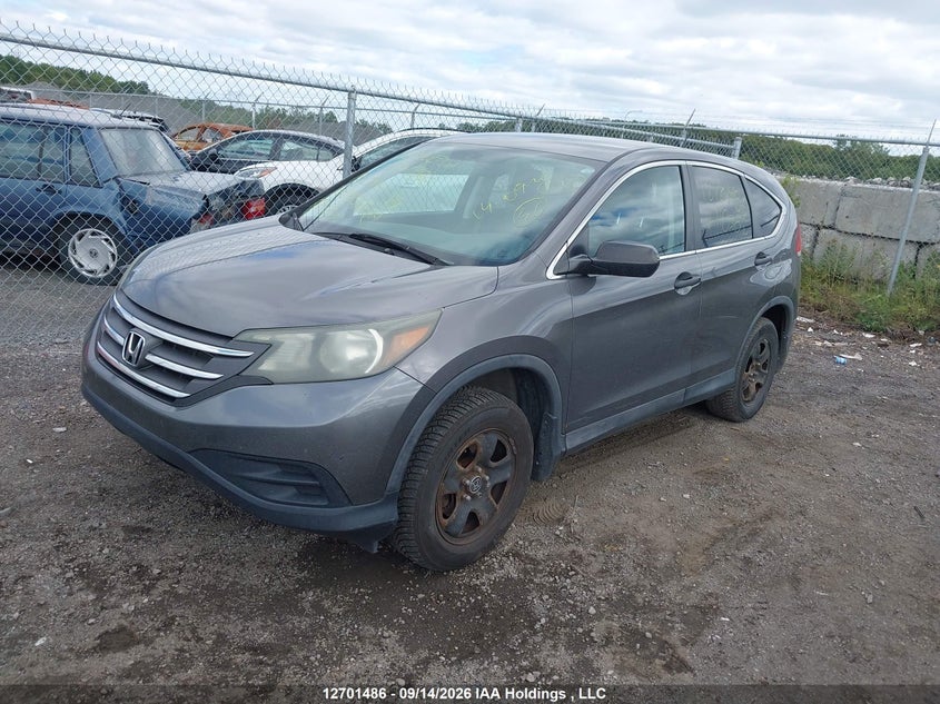 Vin: 2hkrm4h39eh118382, lot: 3113540, honda cr-v lx 20142