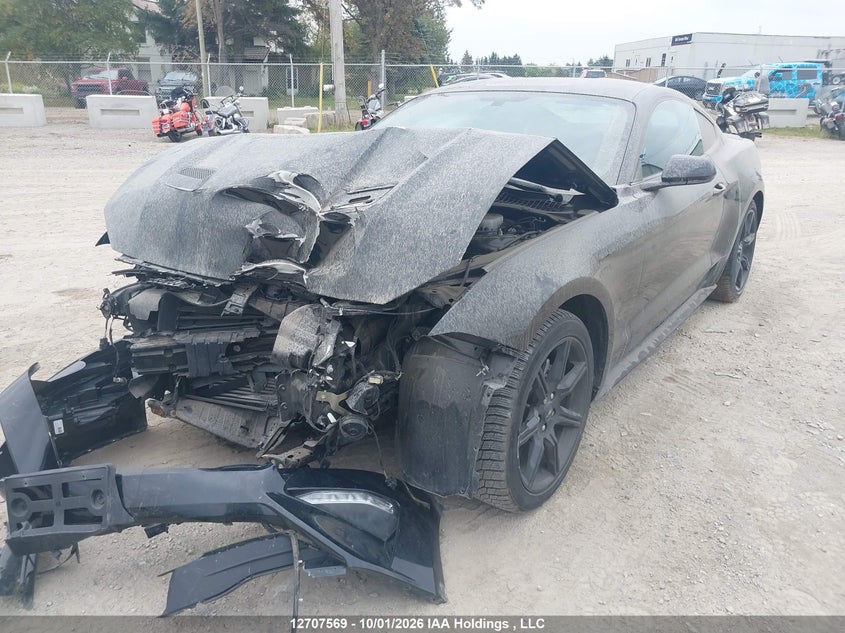 Vin: 1fa6p8th3l5132432, lot: 3113556, ford mustang ecoboost 20202