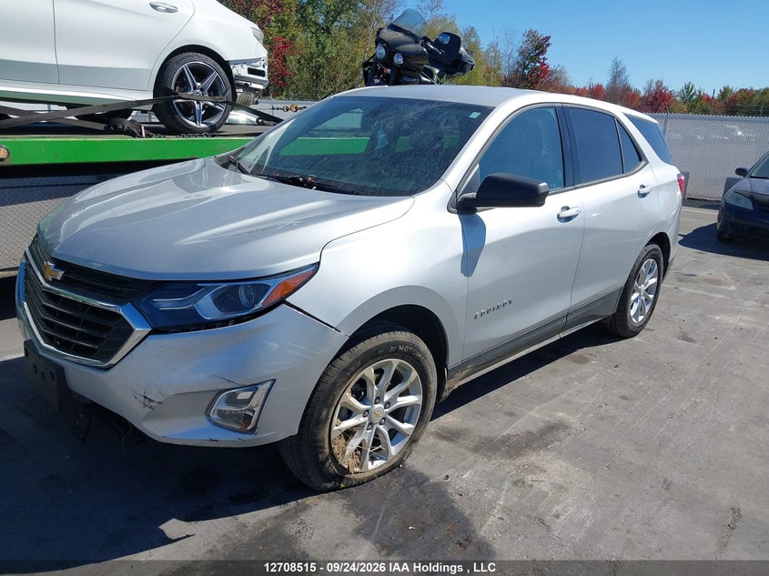 2019 Chevrolet Equinox Ls, Правый бок, IAAI, VIN 2GNAXSEV3K6219214 — фото 2