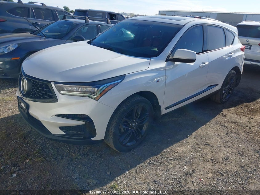 2020 Acura Rdx, Rear, IAAI, VIN 5J8TC2H64LL806520 — photo 2