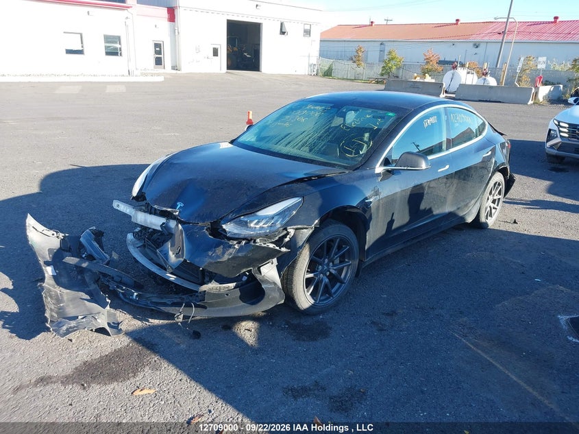 Vin: 5yj3e1ea1lf793806, lot: 3115116, tesla model 3 20202