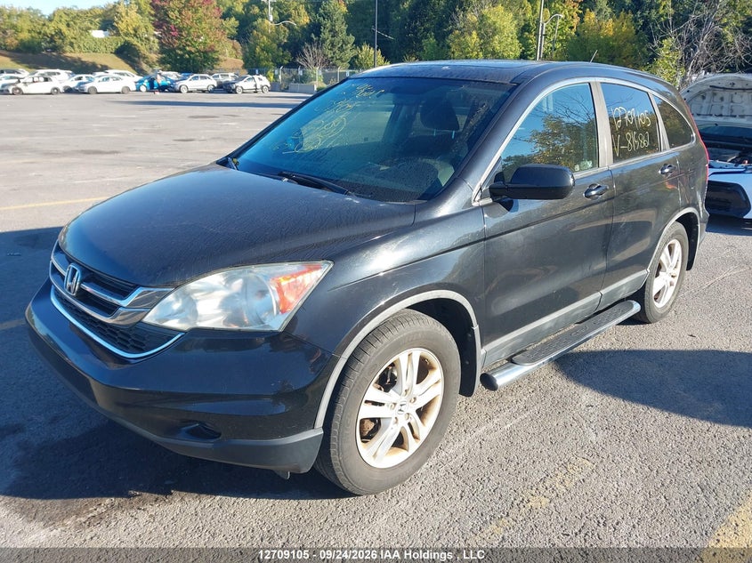 Vin: 5j6re4h53al815867, lot: 3115222, honda cr-v ex 20102