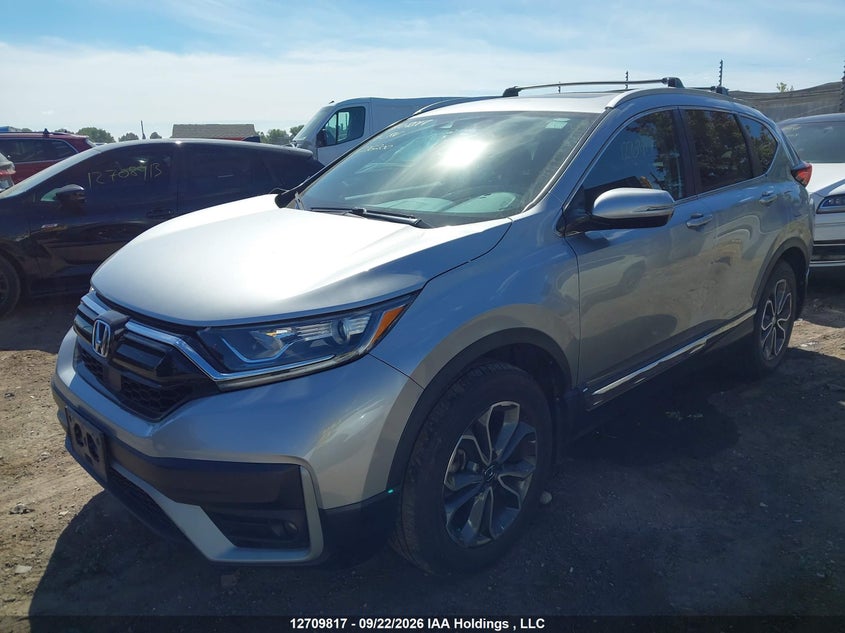 Vin: 2hkrw2h81mh226200, lot: 3115977, honda cr-v exl 20212