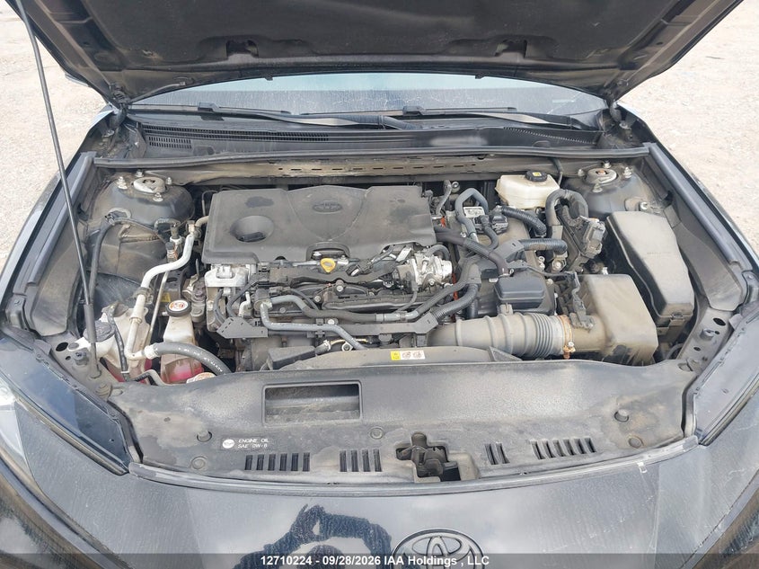 4T1DBADK6SU004221 Toyota Camry Xse/xle/le/se
