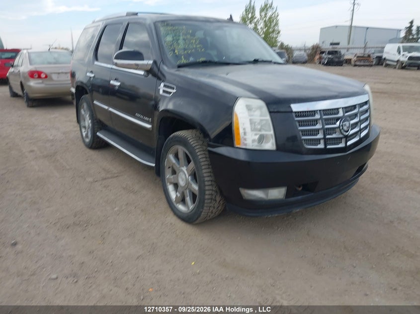 2008 Cadillac Escalade Luxury, Град, IAAI, VIN 1GYFK63838R251573