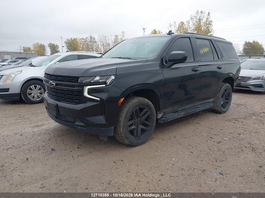 2023 Chevrolet Tahoe Rst, Rear, IAAI, VIN 1GNSKRKD4PR147068 — photo 2