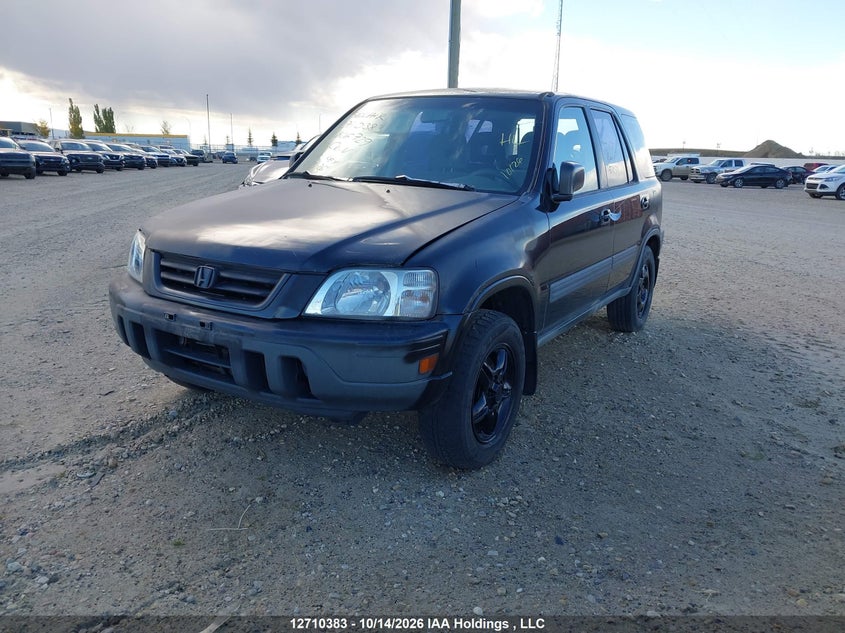 1997 Honda Cr-V Lx, Rear, IAAI, VIN JHLRD1851VC806729 — photo 2