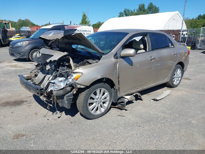 Vin: 2t1bu4ee7ac198267, lot: 3116629, toyota corolla le 20102