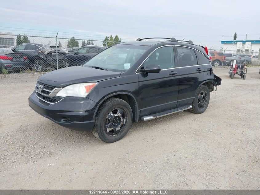 Vin: 5j6re4h72al806725, lot: 3117298, honda cr-v exl 20102