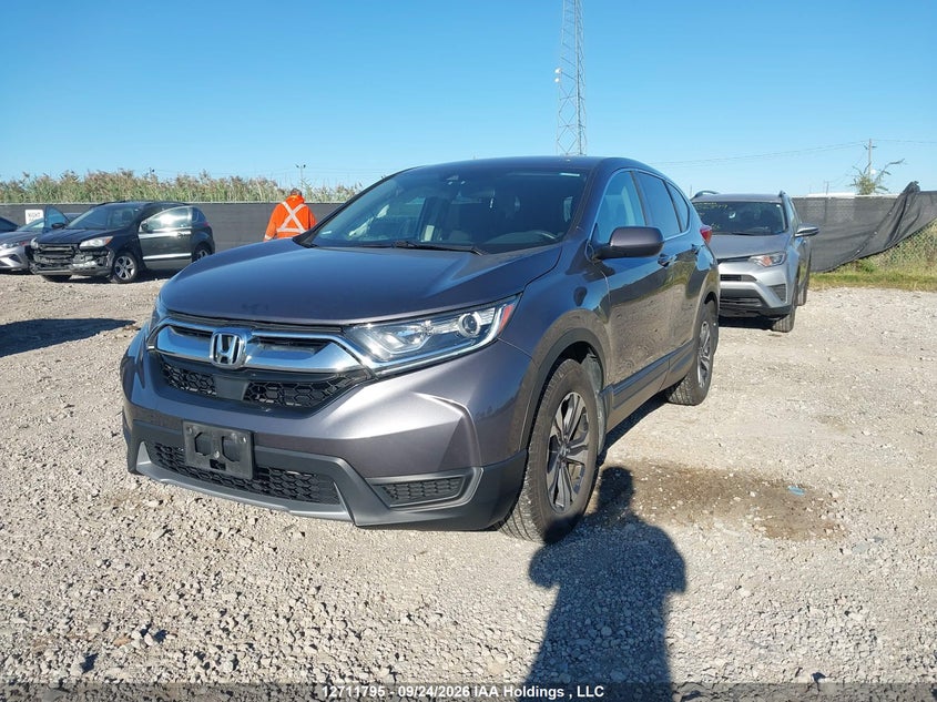 Vin: 2hkrw2h20kh120216, lot: 3118156, honda cr-v lx 20192