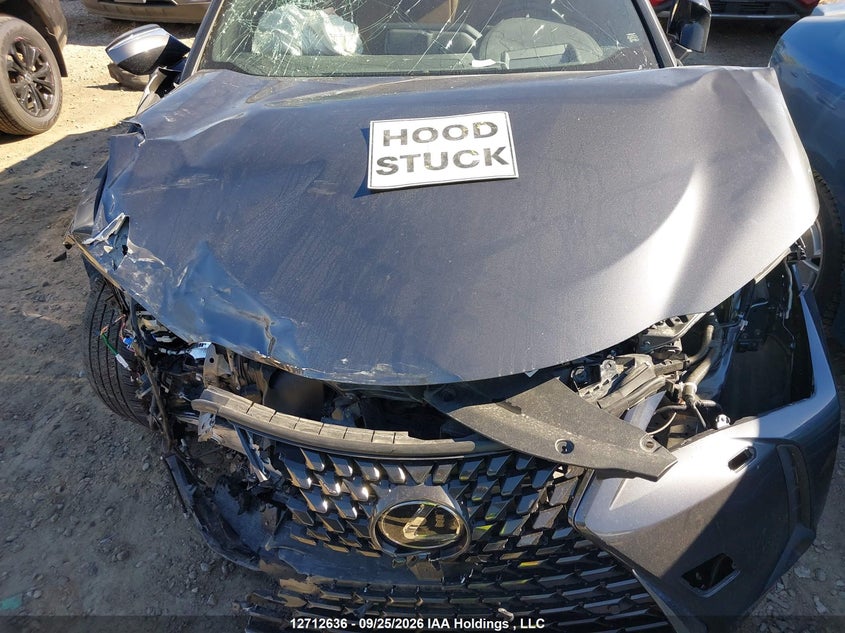2023 Lexus Ux 250H VIN: JTHL9JBH4P2070660 Lot: 12712636