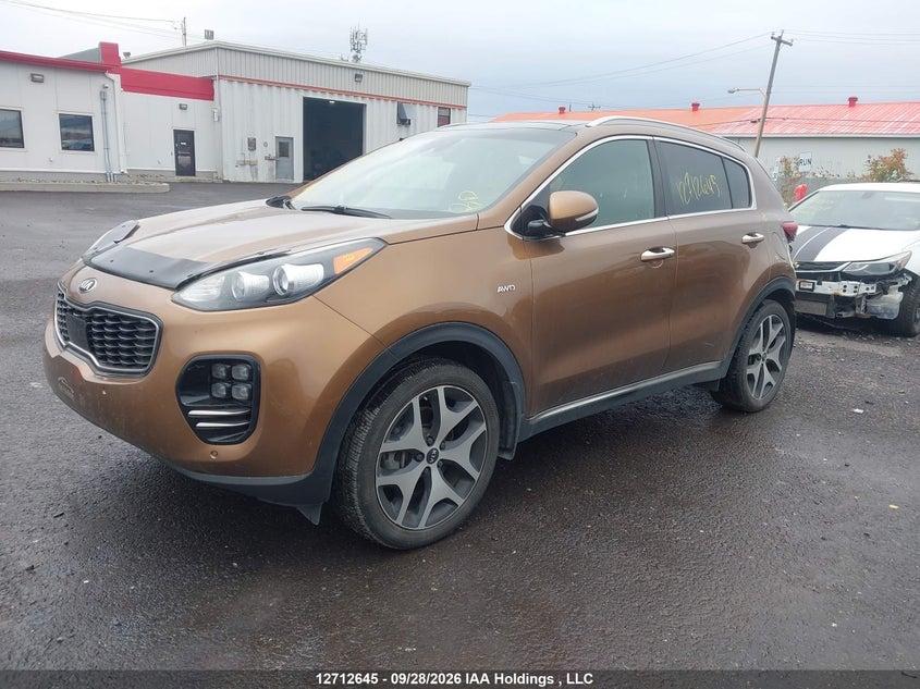 2017 Kia Sportage, Левый зад, IAAI, VIN KNDPRCA63H7254085 — фото 2
