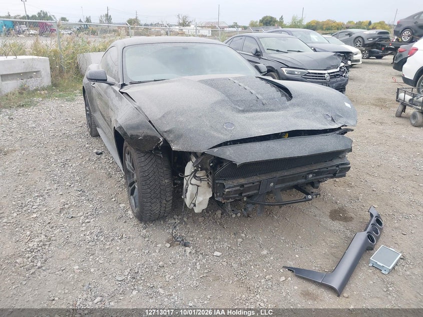 Vin: 1fa6p8cf9l5132434, lot: 3119462, ford mustang gt premium 20201