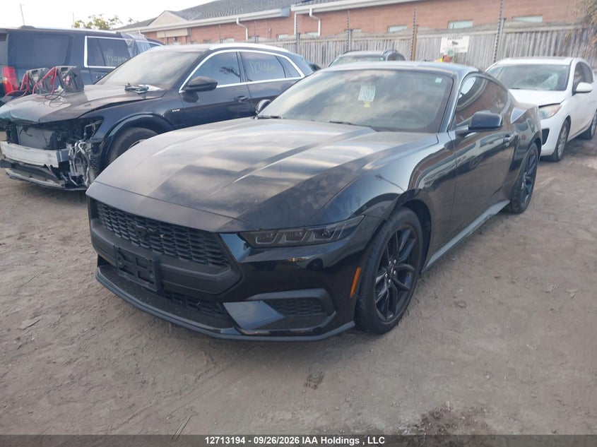 Vin: 1fa6p8th5s5109233, lot: 3119648, ford mustang ecoboost 20252