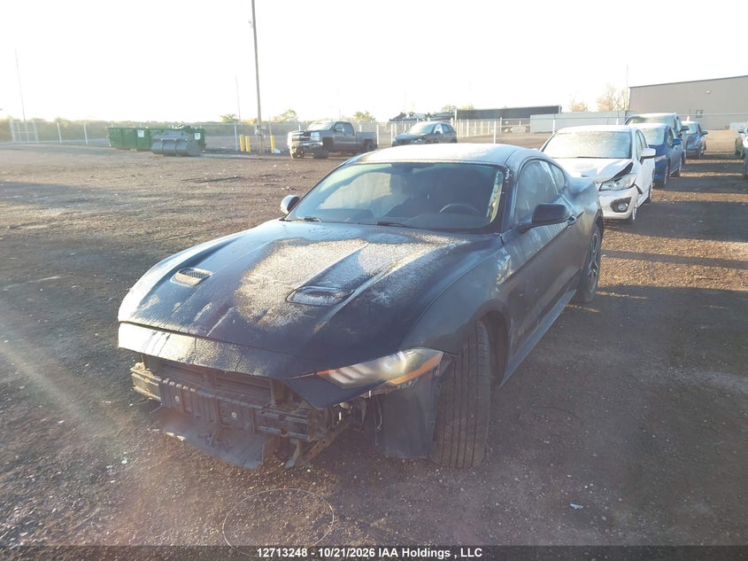 Vin: 1fa6p8th6k5103294, lot: 3119703, ford mustang ecoboost premium 20192