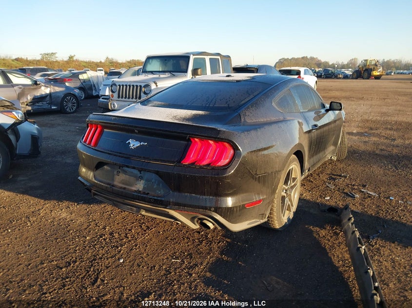 Vin: 1fa6p8th6k5103294, lot: 3119703, ford mustang ecoboost premium 20194