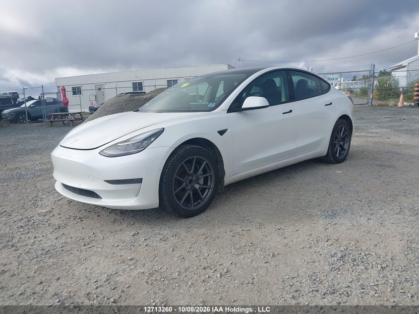 Vin: 5yj3e1ea0mf843385, lot: 3119715, tesla model 3 20212