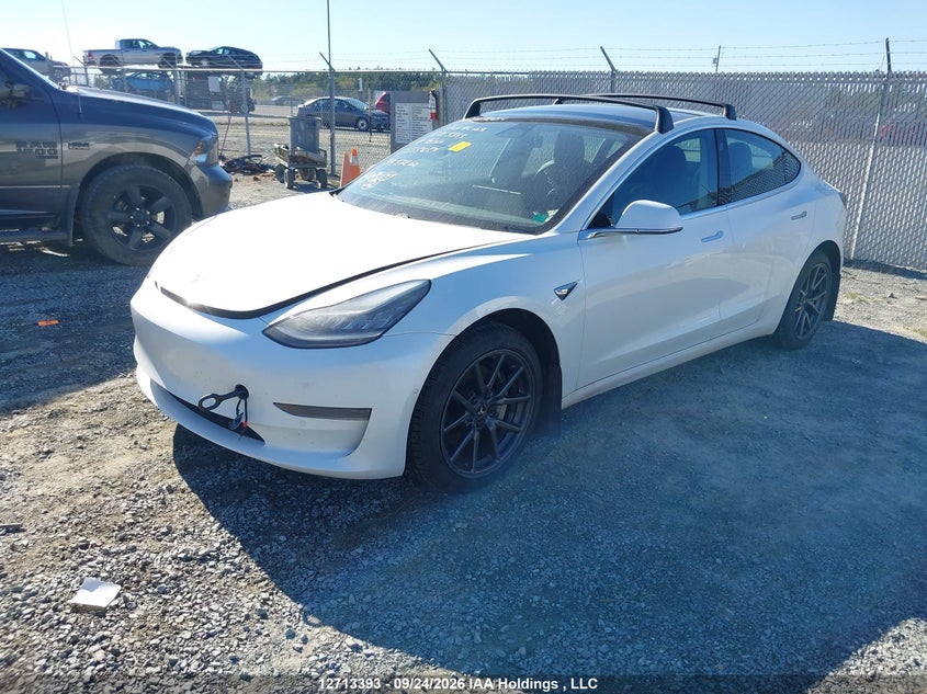 2019 Tesla Model 3, Удар спереду, IAAI, VIN 5YJ3E1EA7KF515054 — фото 2