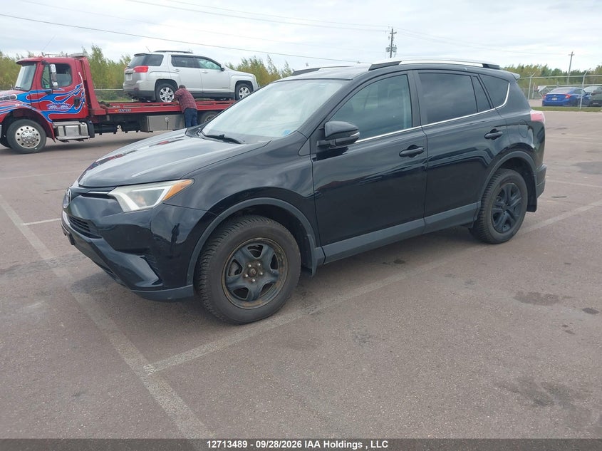 2016 Toyota Rav4 Le, Удар сзади, IAAI, VIN 2T3BFREV9GW466242 — фото 2