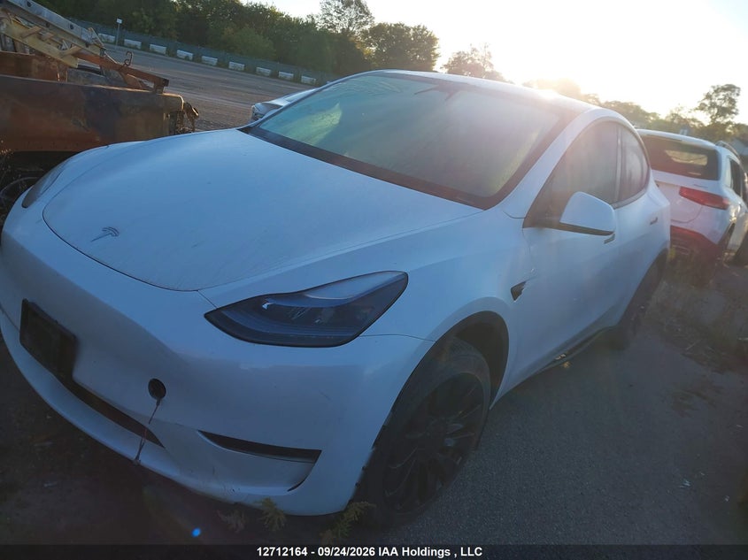 2023 Tesla Model Y Rwd, Right Side, IAAI, VIN LRWYGDFD5PC902519 — photo 2
