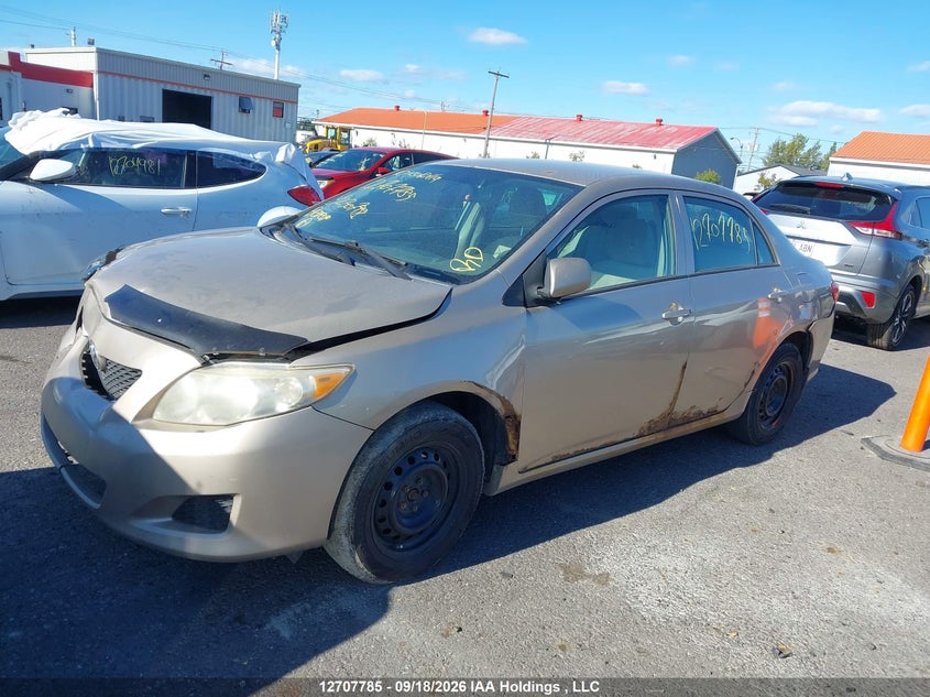 2010 Toyota Corolla, Удар спереду, IAAI, VIN 2T1BU4EE2AC230798 — фото 2