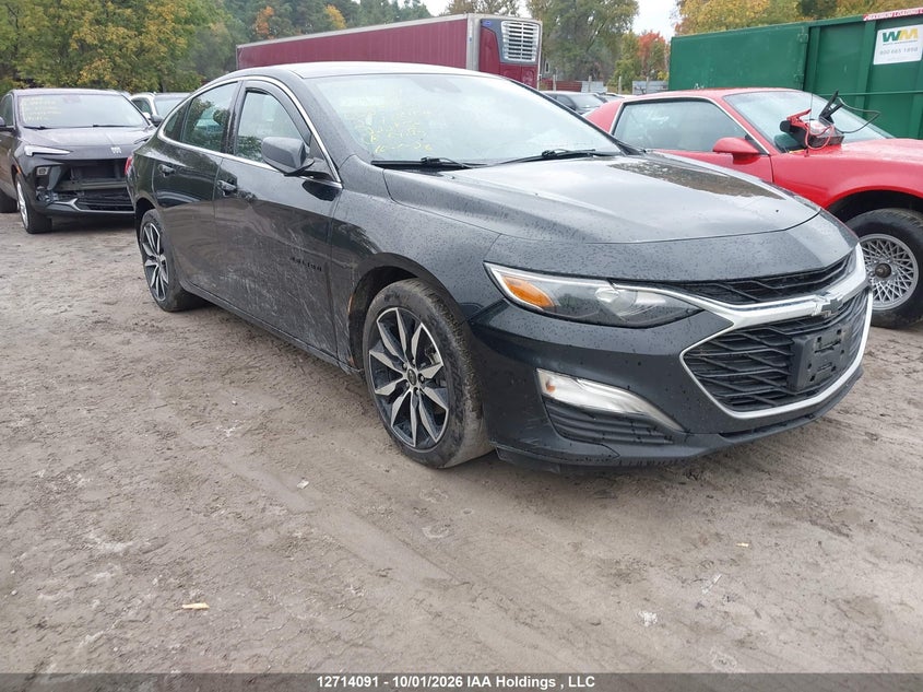 2021 Chevrolet Malibu Rs, Rear, IAAI, VIN 1G1ZG5ST4MF008492