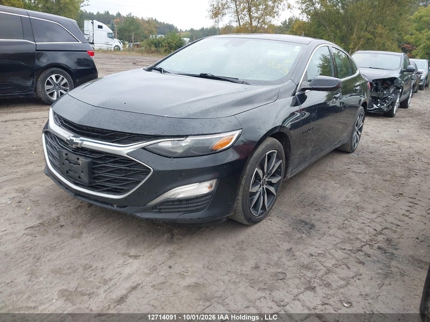2021 Chevrolet Malibu Rs, Удар сзади, IAAI, VIN 1G1ZG5ST4MF008492 — фото 2