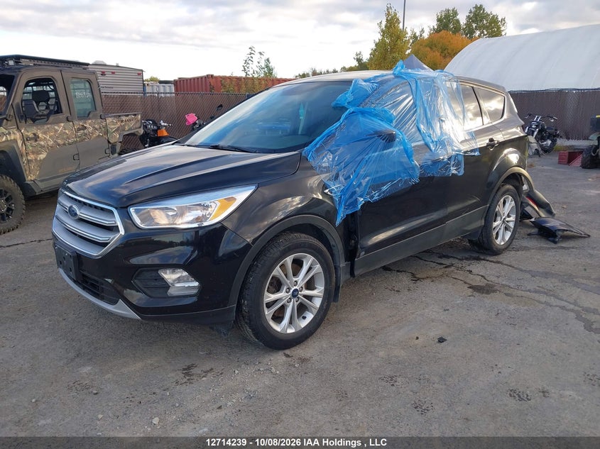 2019 Ford Escape Se, Удар сзади, IAAI, VIN 1FMCU9GD3KUA56987 — фото 2
