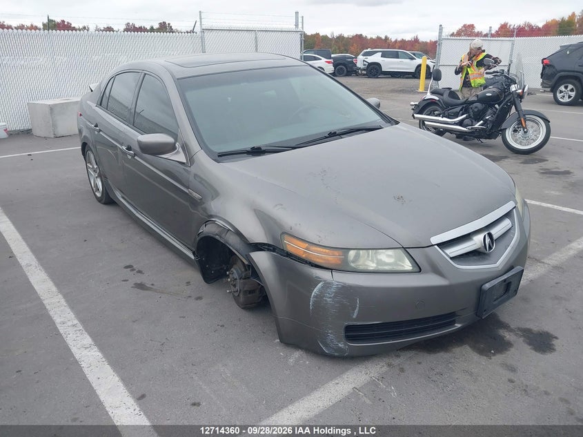 2006 Acura Tl, Правий бік, IAAI, VIN 19UUA66266A800381
