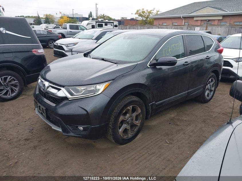 2019 Honda Cr-V Ex-L, Hail, IAAI, VIN 2HKRW2H83KH126015 — photo 2
