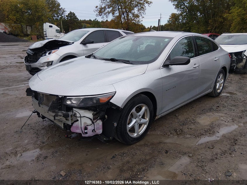 Vin: 1g1zb5st1hf182525, lot: 3123118, chevrolet malibu ls 20172