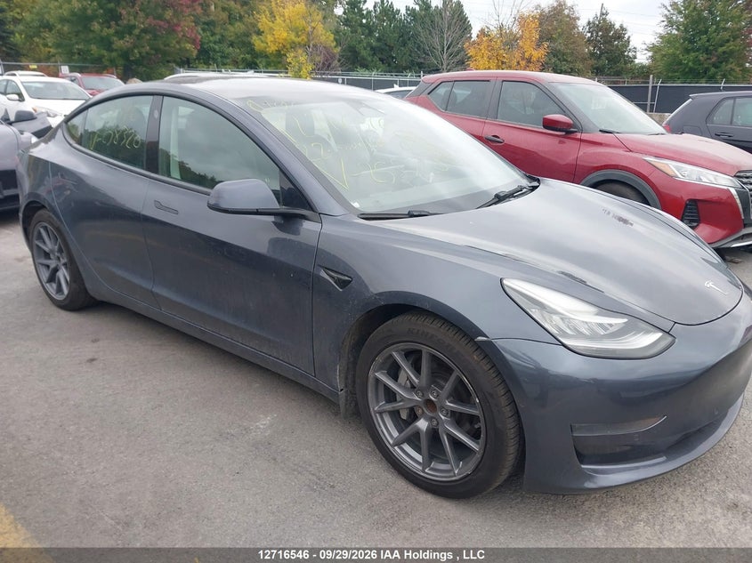 Vin: 5yj3e1ea3nf258320, lot: 3123295, tesla model 3 2022 img_1