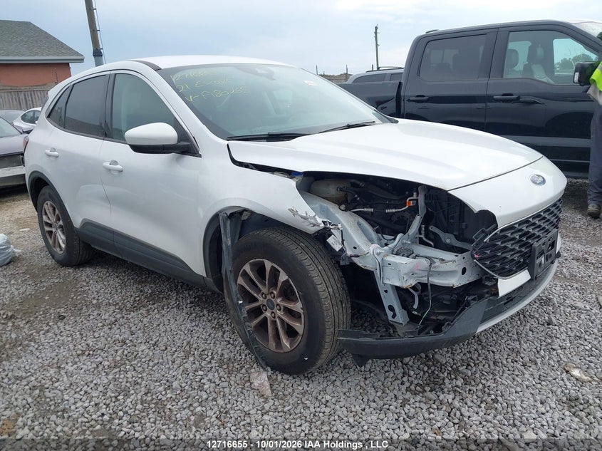 Vin: 1fmcu9g62mua80265, lot: 3123423, ford escape se 20211